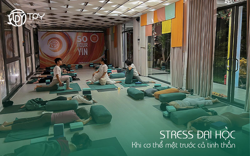 Stress đại học: Khi cơ thể mệt trước cả tinh thần