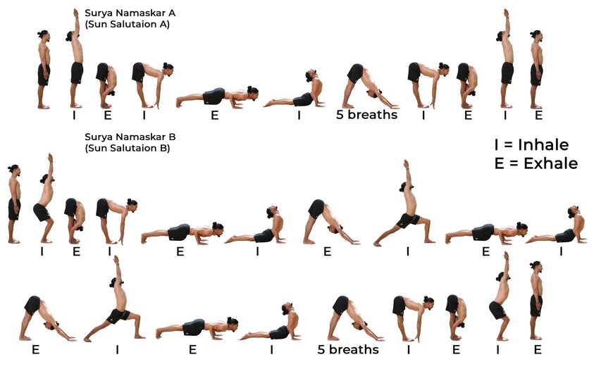 Sự đa dạng của các chuỗi Chào Mặt Trời trong Yoga