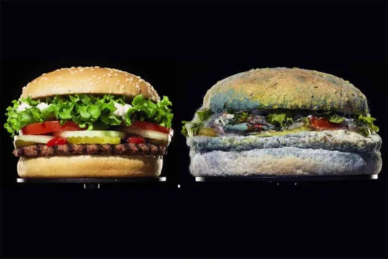 Dinh dưỡng trong Yoga | Nền tảng nuôi dưỡng thân thể, tâm trí và đời sống tỉnh thức 26 Thực phẩm Tamasic