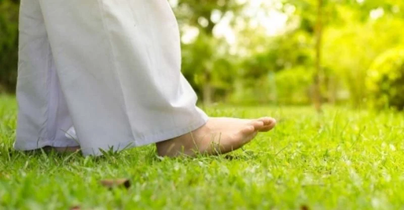 Trạng thái an trú là gì