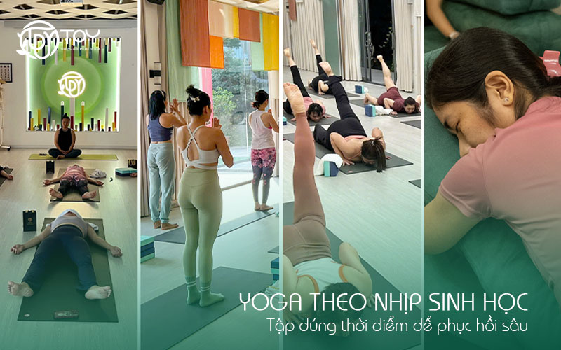 Yoga theo nhịp sinh học: Tập đúng thời điểm để phục hồi sâu