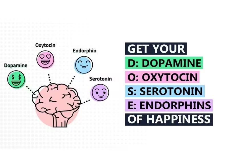 Yoga thúc đẩy sản sinh “Hormone hạnh phúc”