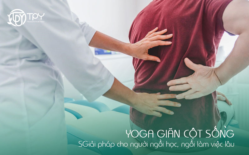 Yoga giãn cột sống: Giải pháp cho người ngồi học, ngồi làm việc lâu