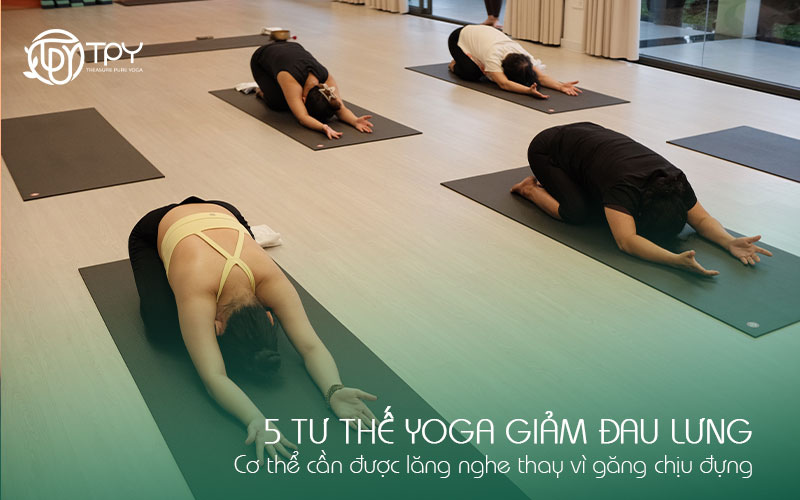 5 Tư thế yoga giảm đau lưng