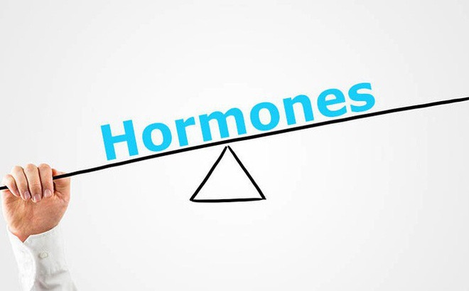 Giảm cân sau Tết: Hành trình về với nhịp sống cân bằng 24 Cân bằng hormone