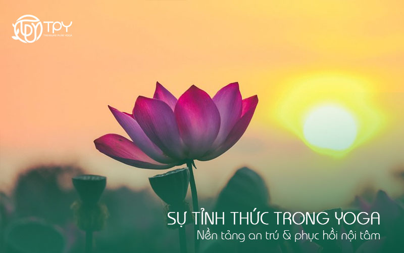 Học viện yoga quốc tế TPY 4 Sự tỉnh thức trong yoga | Nền tảng an trú & phục hồi nội tâm