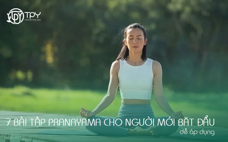 Học viện yoga quốc tế TPY 27 7 bài tập pranayama cho người mới bắt đầu dễ áp dụng
