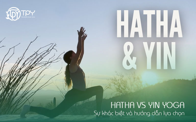 Học viện yoga quốc tế TPY 29 Hatha vs Yin Yoga: Sự khác biệt và hướng dẫn lựa chọn