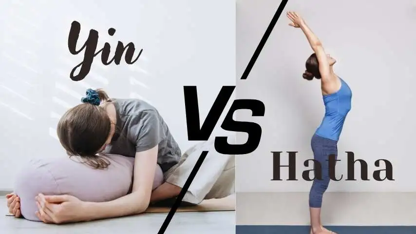 Hatha vs Yin Yoga: Sự khác biệt và hướng dẫn lựa chọn 29 Hatha vs Yin Yoga
