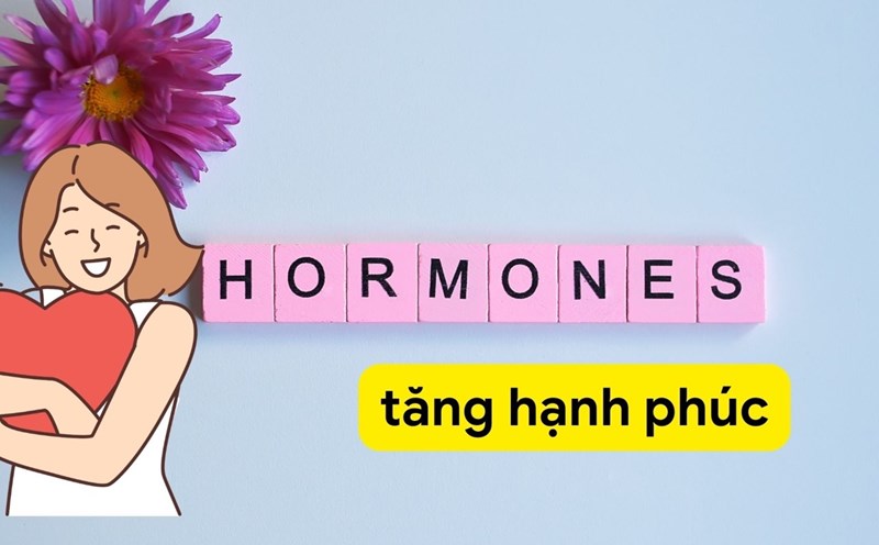 Yoga giúp cải thiện tâm trạng, điều hòa cảm xúc 4 Tăng sinh hormone hạnh phúc