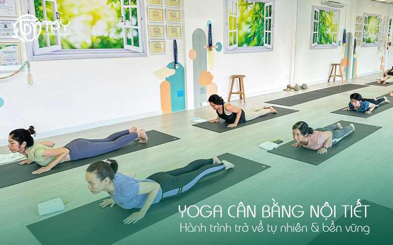 Học viện yoga quốc tế TPY 3 Yoga cân bằng nội tiết | Hành trình trở về tự nhiên & bền vững