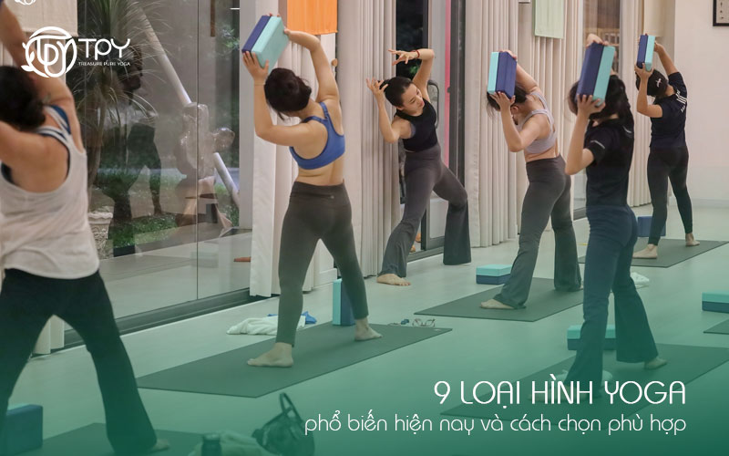 9 loại hình yoga phổ biến hiện nay và cách chọn phù hợp