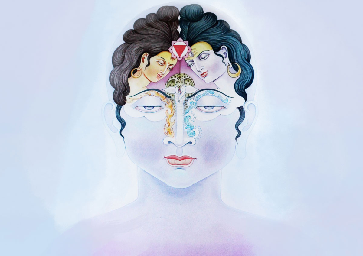 Học phần 2 - Giáo trình huấn luyện viên Hatha Yoga 200 Giờ - TPY Academy.jpg