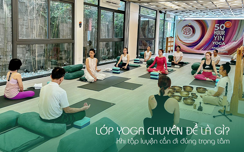 Học viện yoga quốc tế TPY 16 Lớp yoga chuyên đề là gì? Khi tập luyện cần đi đúng trọng tâm