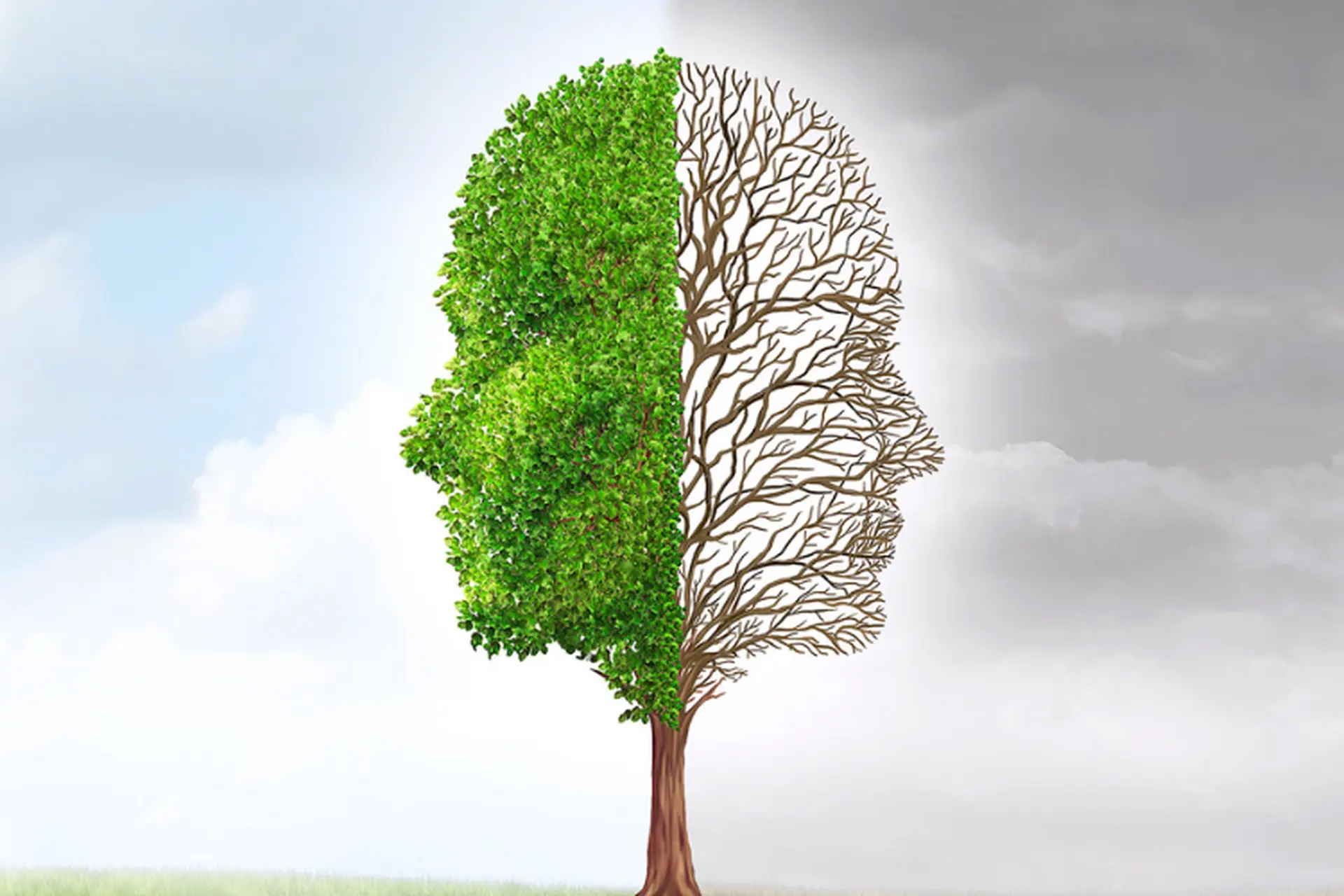 Mối liên hệ giữa kiên nhẫn và tiến bộ