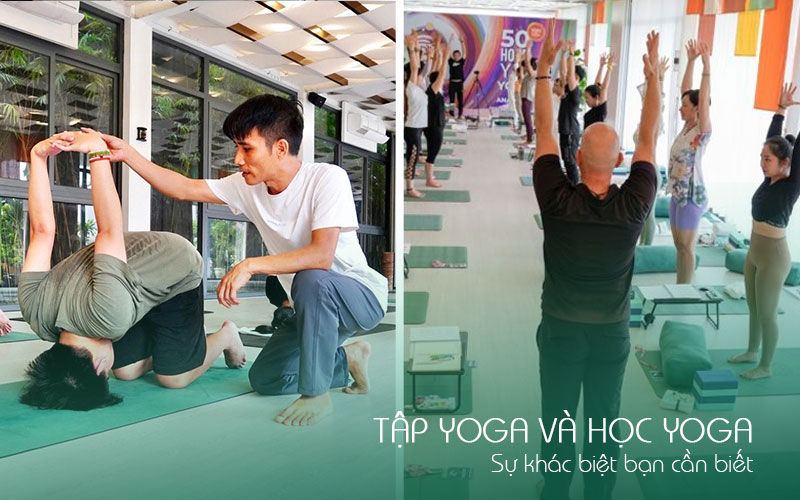 Học viện yoga quốc tế TPY 14 Tập yoga và học yoga: Sự khác biệt bạn cần biết