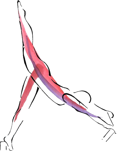 Yoga cho sinh viên với nhiều lợi ích