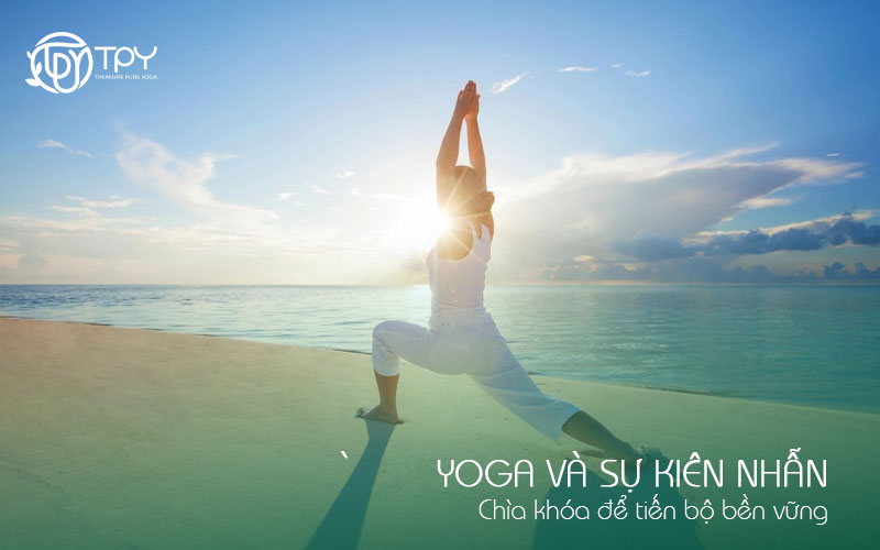 Học viện yoga quốc tế TPY 9 Yoga và sự kiên nhẫn: Chìa khóa để tiến bộ bền vững