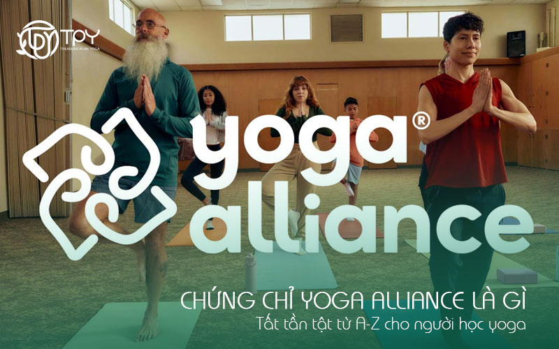 Chứng chỉ Yoga Alliance là gì