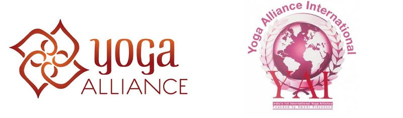 Chứng chỉ Yoga Alliance là gì? Tất tần tật từ A-Z cho người học yoga 31 Sự khác biệt giữa “Bằng Mỹ” và “Bằng Ấn”