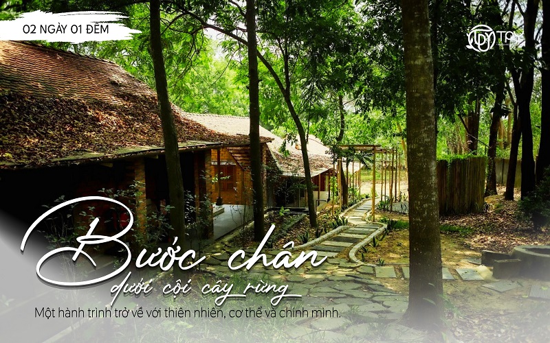 Yoga Retreat Bước chân dưới cội cây rừng (2N1Đ)